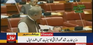 Minister of Foreign Affairs Shah Mehmood Qureshi Speech Senate of Pakistan Islamabad (28.08.18)