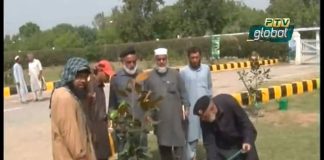 PTV News Package on Launch of Plant for Pakistan drive across the Country (02.09.18)