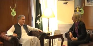 Shah Mehmood Qureshi urges international community to take steps for ending systematic Human Rights