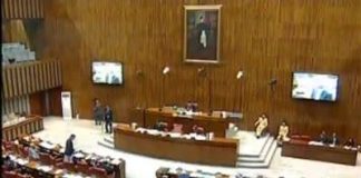 Minister of State for Revenue Hammad Azhar Speech Senate of Pakistan Islamabad (12.11.18)