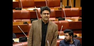 PTI's Senator Faisal Javed Khan Speech Senate of Pakistan, Islamabad (25.02.19)