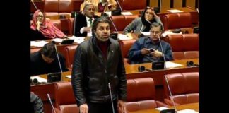 Minister of State for Parliamentary Affairs Ali Muhammad Khan Speech Senate of Pakistan, Islamabad (26.02.19)