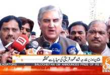 Minister of Foreign Affairs Shah Mahmood Qureshi Media Talk Multan (24.03.19)