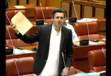 Minister of State for Revenue Hammad Azhar Speech Senate of Pakistan Islamabad (30.04.19)